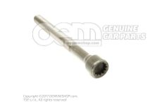 WHT001017 Socket head bolt with inner multipoint head M10X113 (2)