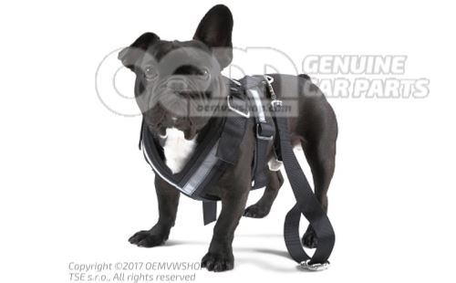 Dog protection belt